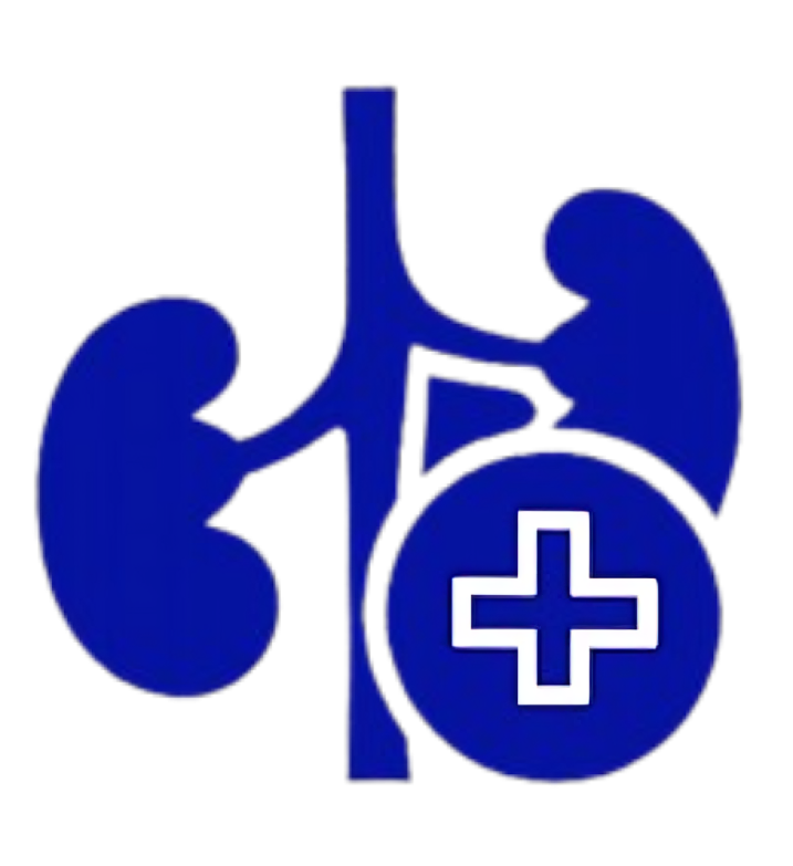 Blue illustration of kidneys with a circular medical cross, signaling kidney health or nephrology care