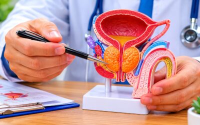 What Is the Normal Prostate Volume in cc by Age?