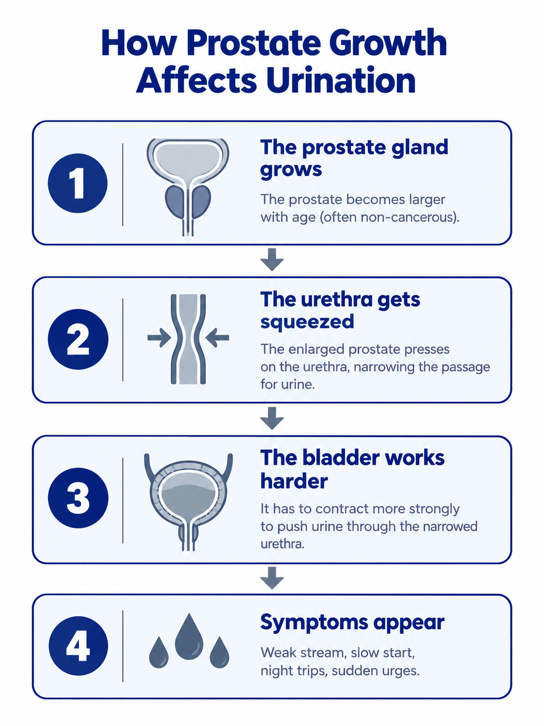 How Prostate Growth Affects Urination